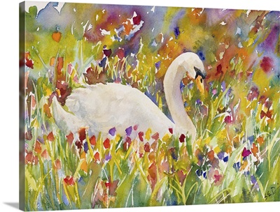 Colorful Swan