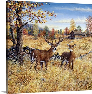 Colors Of Autumn Photo Canvas Print | Great Big Canvas