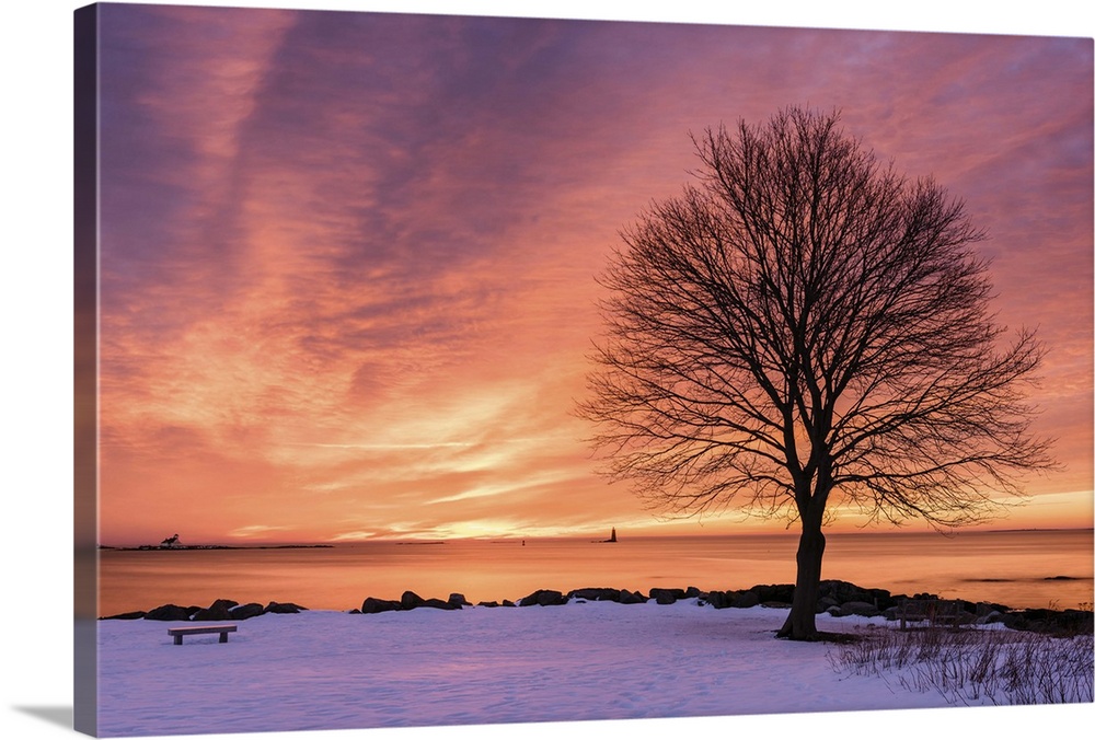 Landscape photograph of a snow covered shore with a silhouette of a bare tree and a beautiful sunrise over the water.