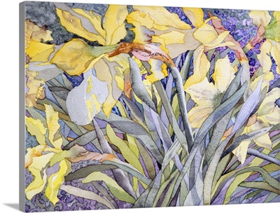 Daffodils, Van Vleck