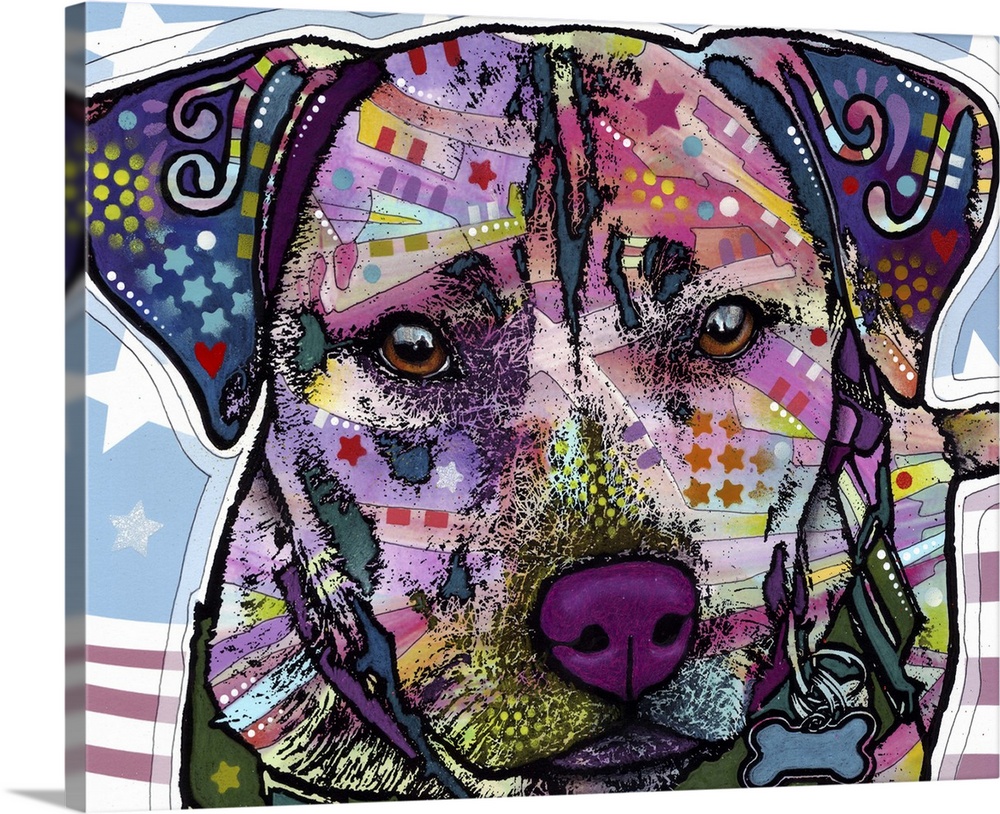 Dog, Dakota, American FlagPatriotic