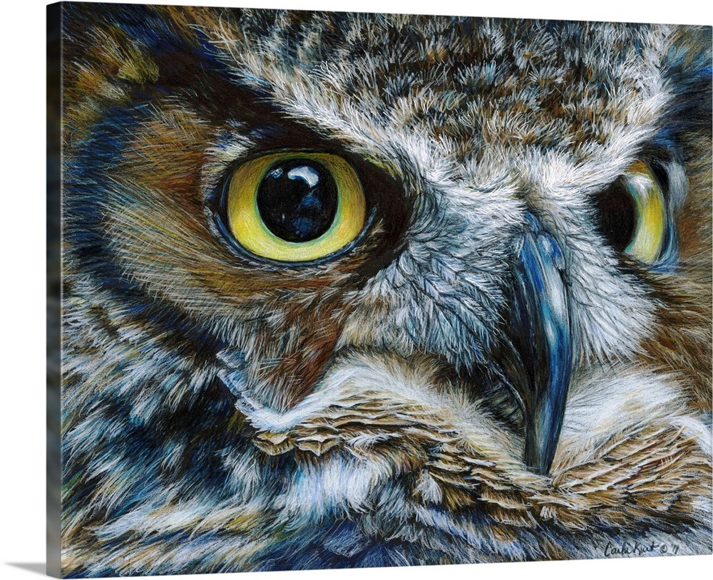 Dark Owl Wall Art, Canvas Prints, Framed Prints, Wall Peels Great Big