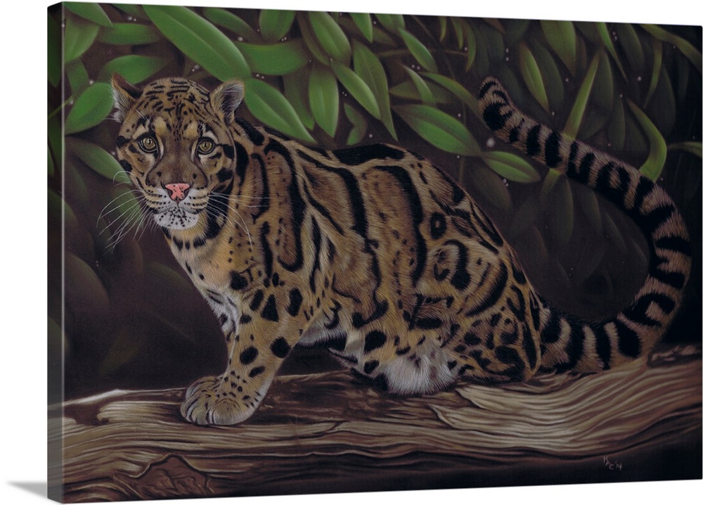 Contemporary artwork of a clouded leopard in a forest.