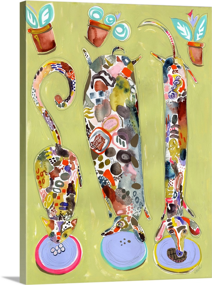 Diet Is A Four Letter Word