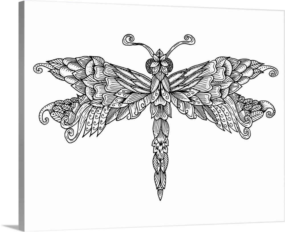 Line art of a dragonfly with detailed wings.