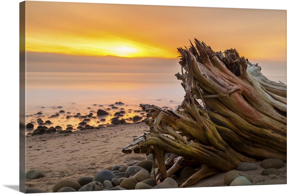 Photograph of a large piece of drift washed up on a beach overlooking the ocean at sunset.