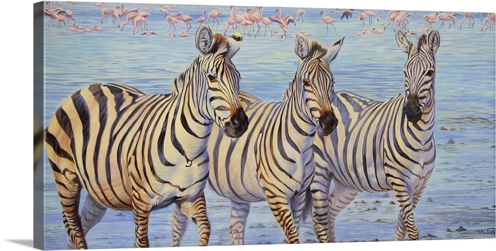 Three zebras walking through water with a flock of flamingos in the background