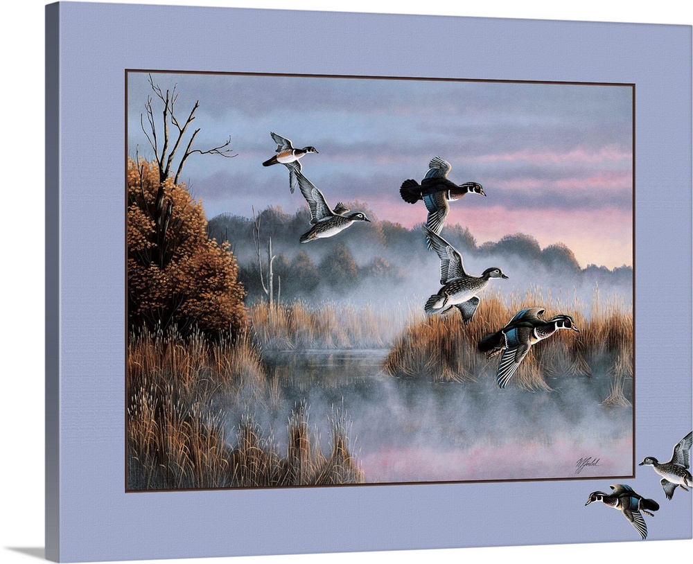 Ducks in flight on a misty morning.