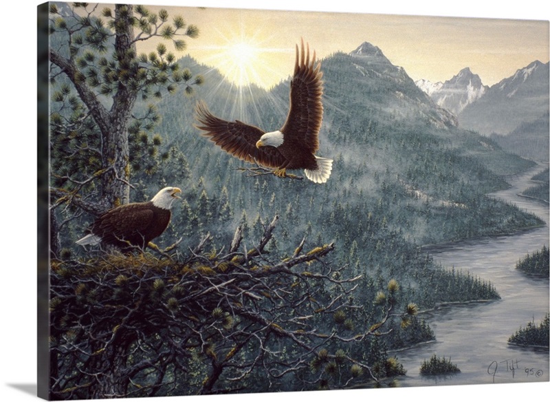 Eagles Nest Wall Art, Canvas Prints, Framed Prints, Wall Peels Great