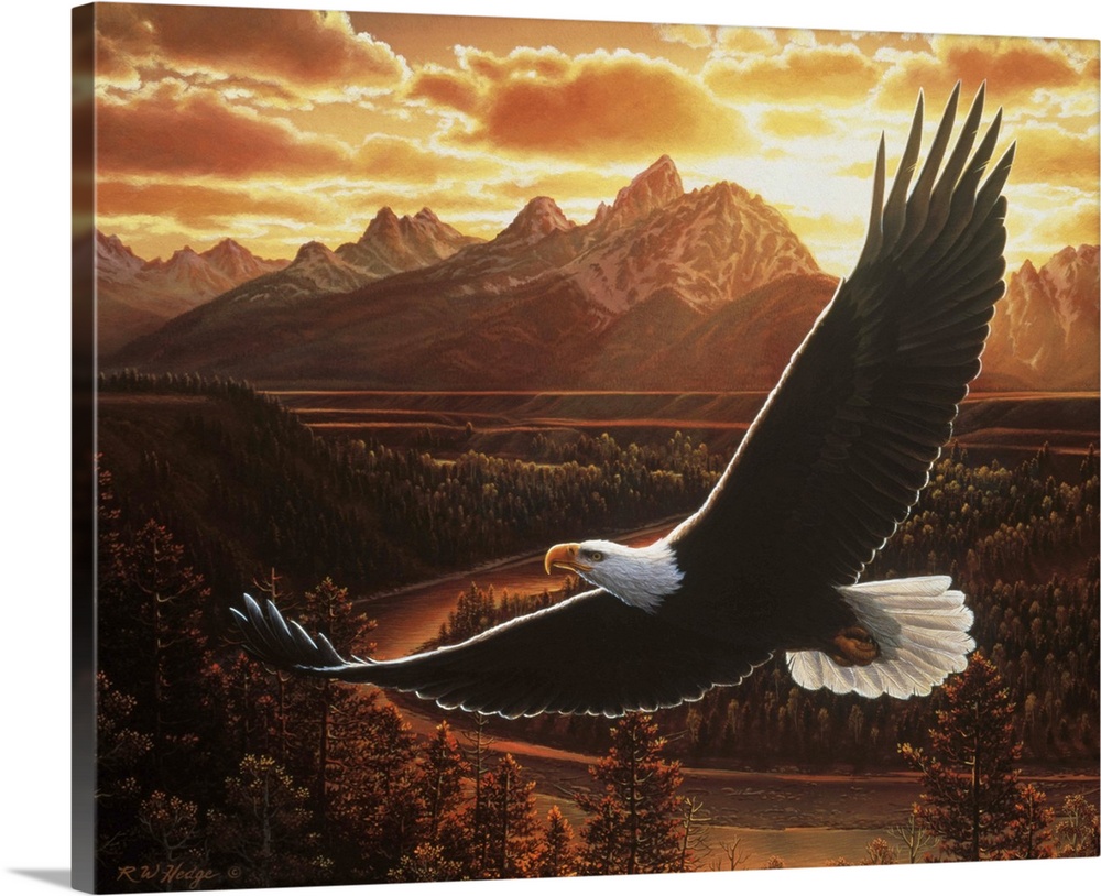 A bald eagle flies by a mountain range at sunset.