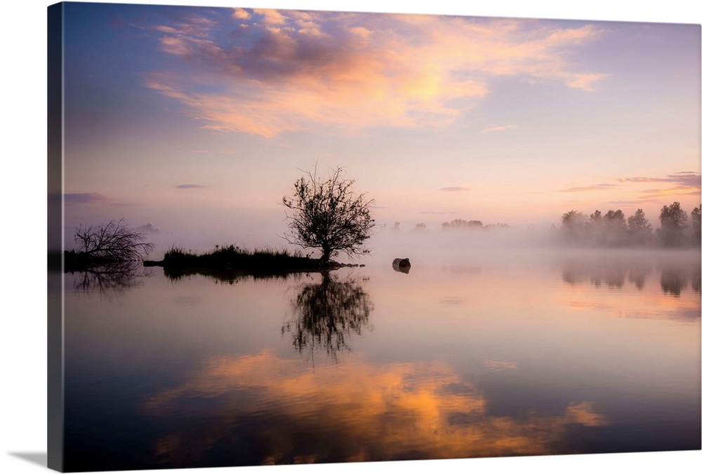 A photograph of a foggy landscape with silhouetted trees being reflected in the water below.