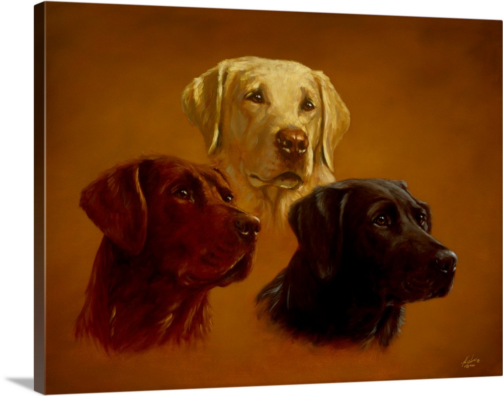 Contemporary painting of three portraits of different labrador retrievers.