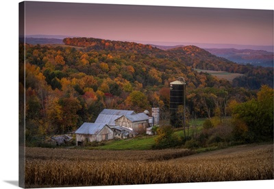 Farm And The Fall