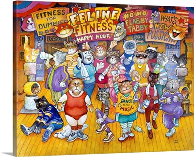 Feline Fitness