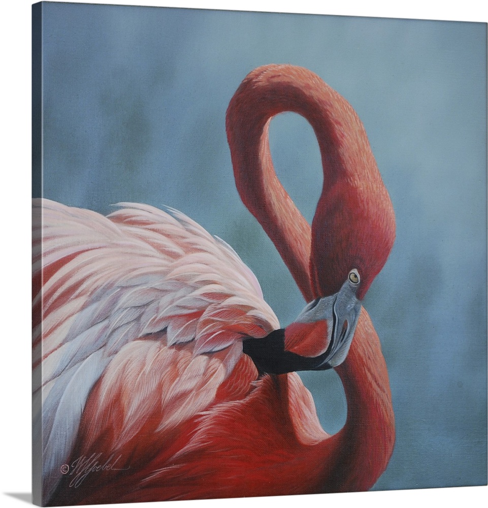 A portrait of a pink flamingo