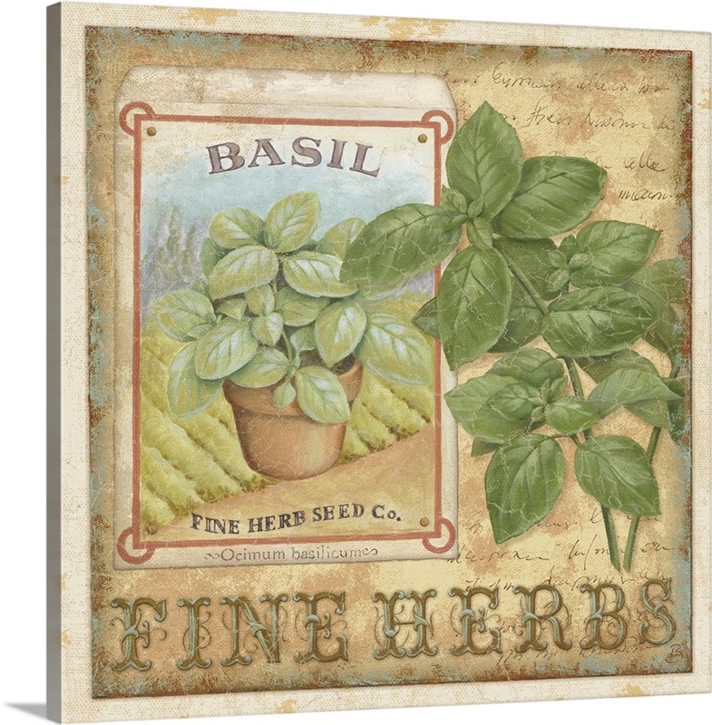 Fine Herbs I Great Big Canvas