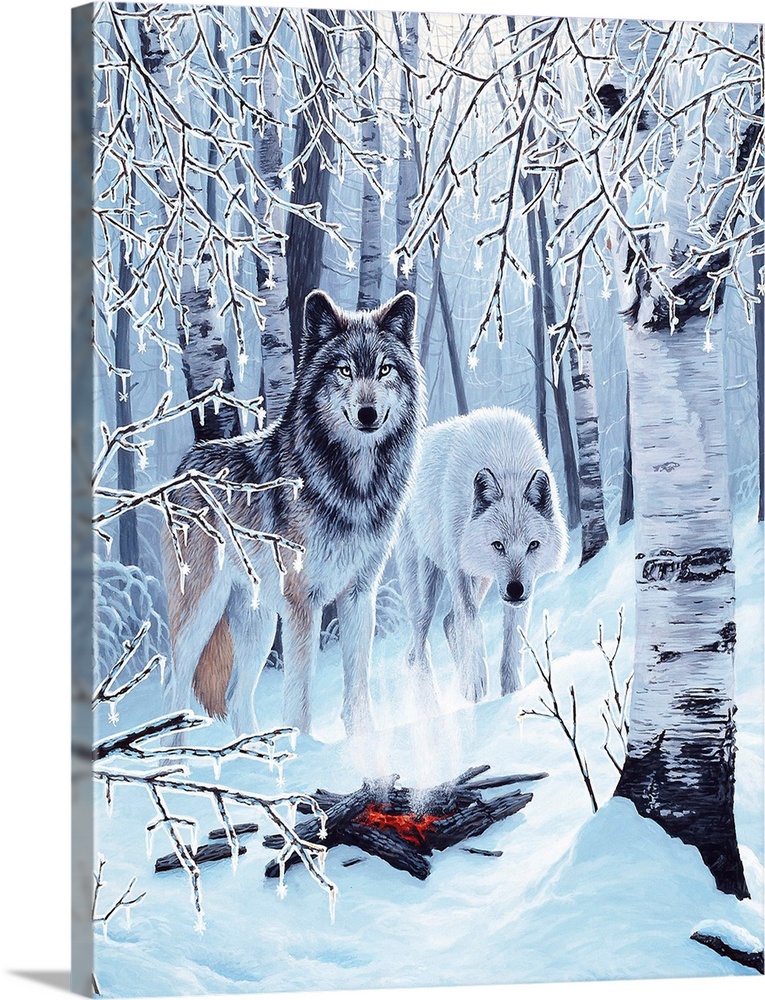 Two wolves stand under a group of birch trees, next to a  campfire, on a snow covered ground.