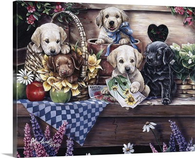 Five Puppies