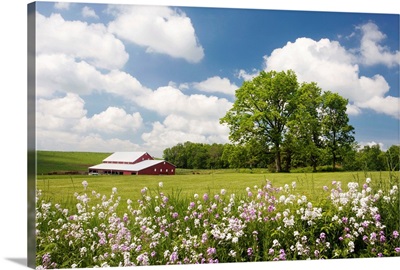 Flowers and Farm, Holmes County, Ohio