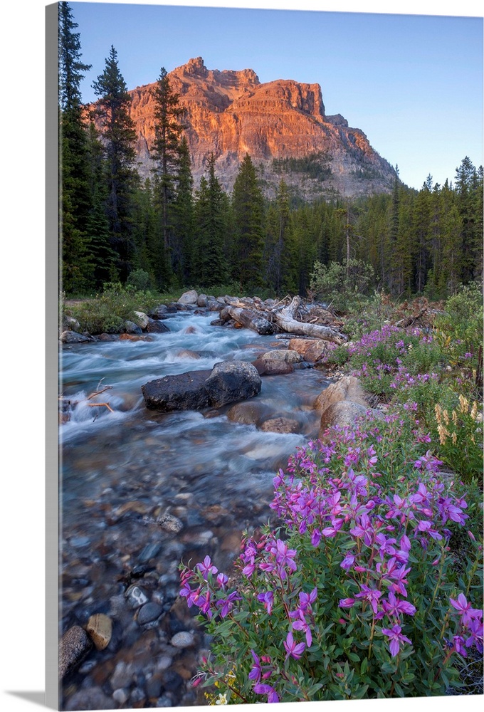 Landscape photograph of a flowing river with wildflowers lining it and mountains in the distance.