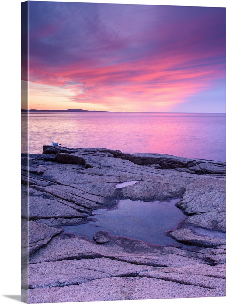 Pink and purple photograph of a beautiful sunset over the water and a frozen puddle of water on top of the rocky shore.