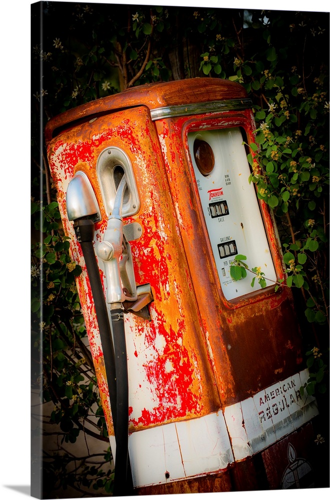 Photograph of a vintage gas pump surrounded by green foliage.