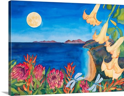 Full Moon Transformation