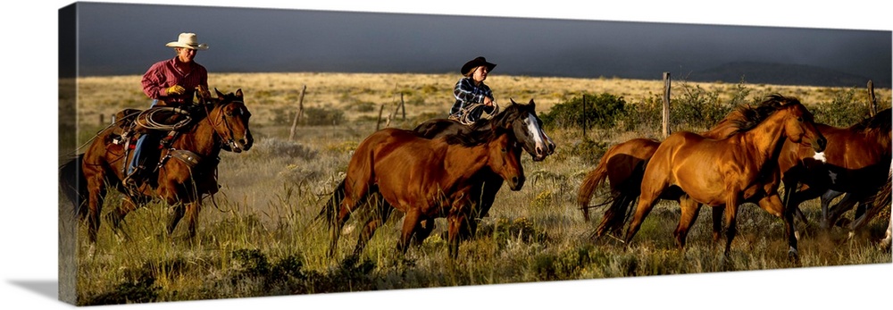 Action photograph of two cowgirls herding horses with a dark sky in the distance.