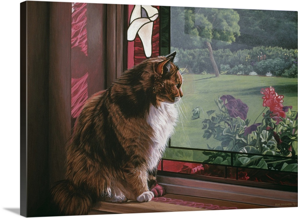 A cat sitting on a window sill looking out over the garden.
