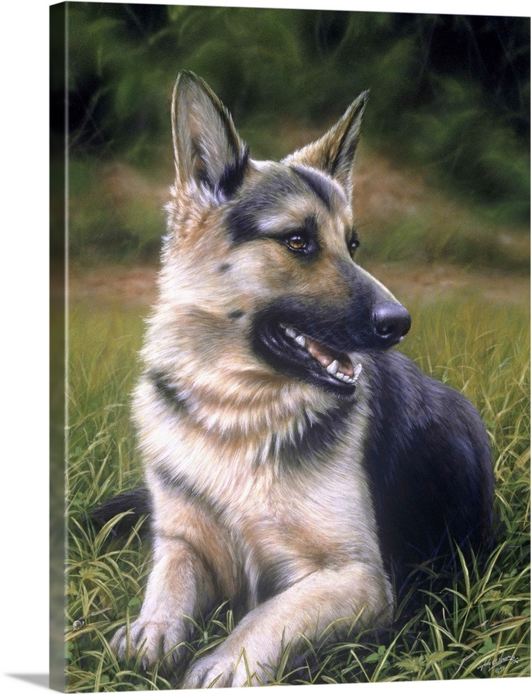 German Shepherd Portrait Wall Art, Canvas Prints, Framed Prints, Wall