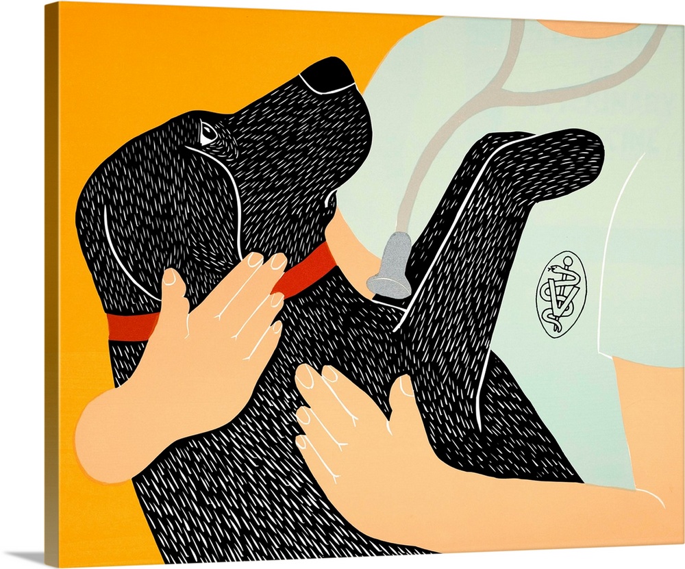 Illustration of a black lab in a veterinarian's arms.