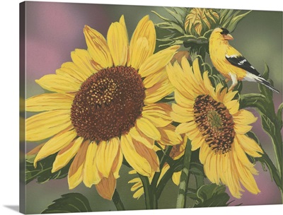 Goldfinch And Sunflowers