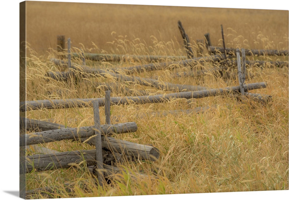 A photograph of a fence sitting in a grassy landscape.