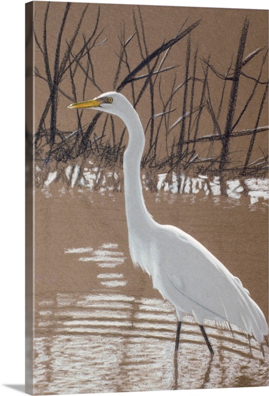 Great Egret Wall Art, Canvas Prints, Framed Prints, Wall Peels Great