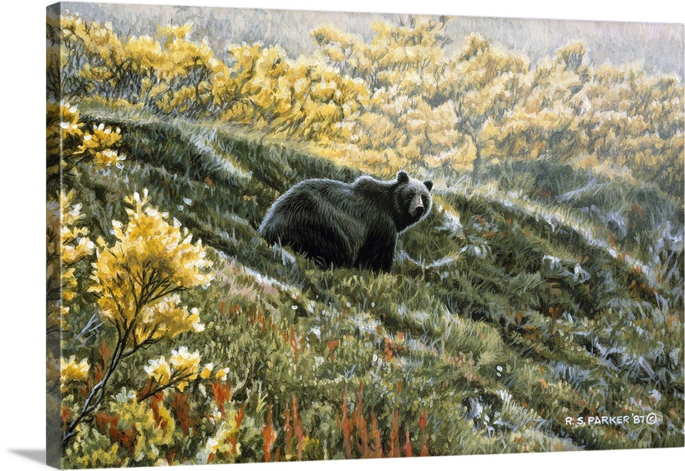 A grizzly bear rests on a fall hillside.