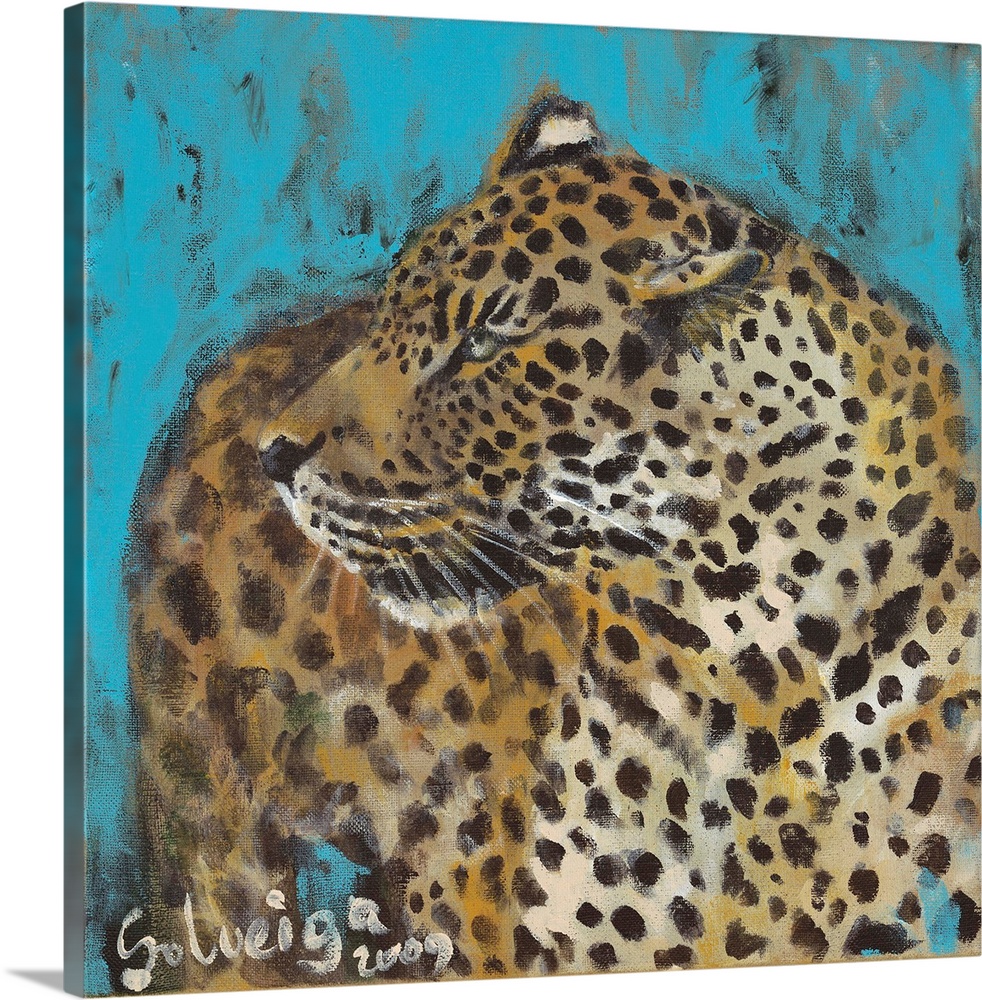 Contemporary portrait of a wild leopard, with a fierce stare.