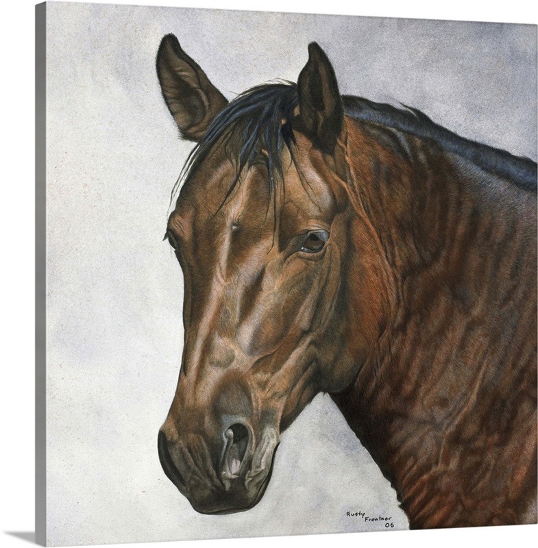 Horse Wall Art, Canvas Prints, Framed Prints, Wall Peels Great Big Canvas