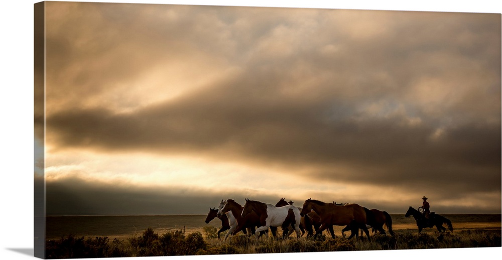 Photograph of a cowboy herding horses in an open plain.