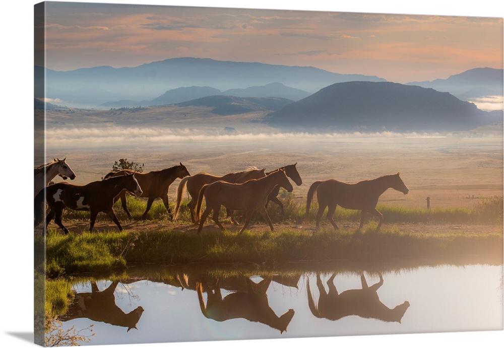 Photograph of a herd of horses walking alongside a river casting reflections.