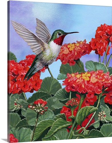 Hummingbird And Flower II | Great Big Canvas