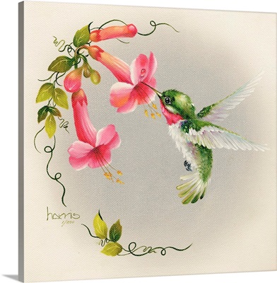 Hummingbirds With Trumpet Flowers 1