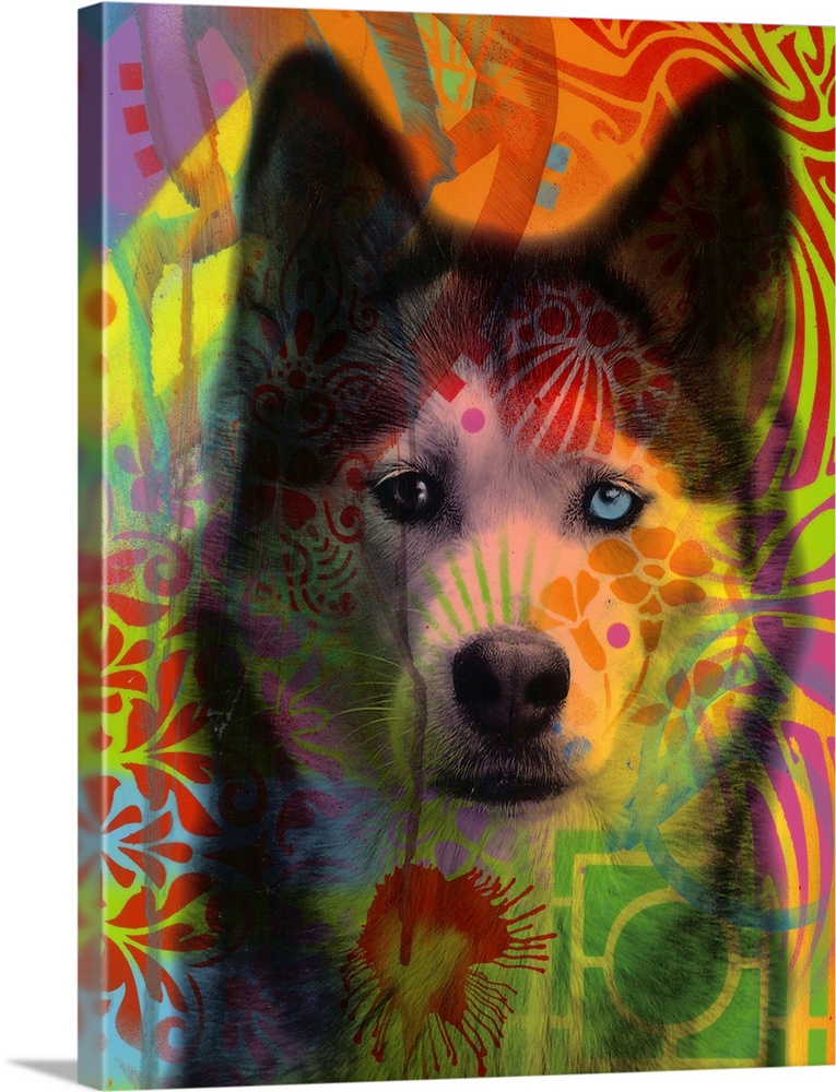 Portrait of a husky with two different colored eyes on a colorful graffiti style background.