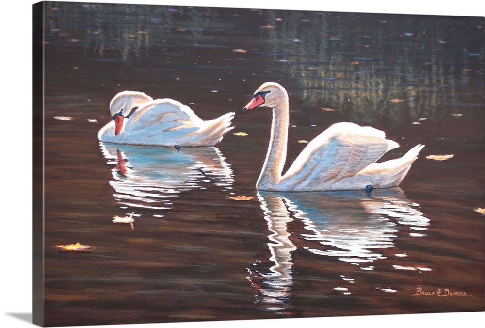 Contemporary artwork of swans in water.