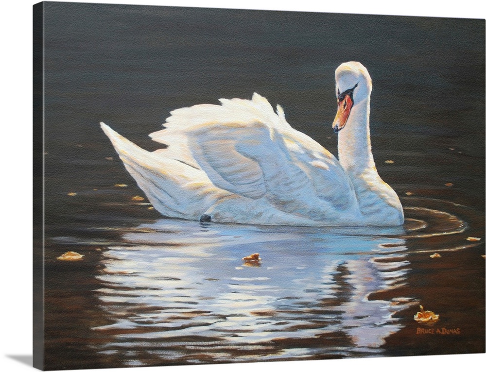 Contemporary artwork of a swan and its reflection.