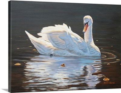 Illuminated Swan