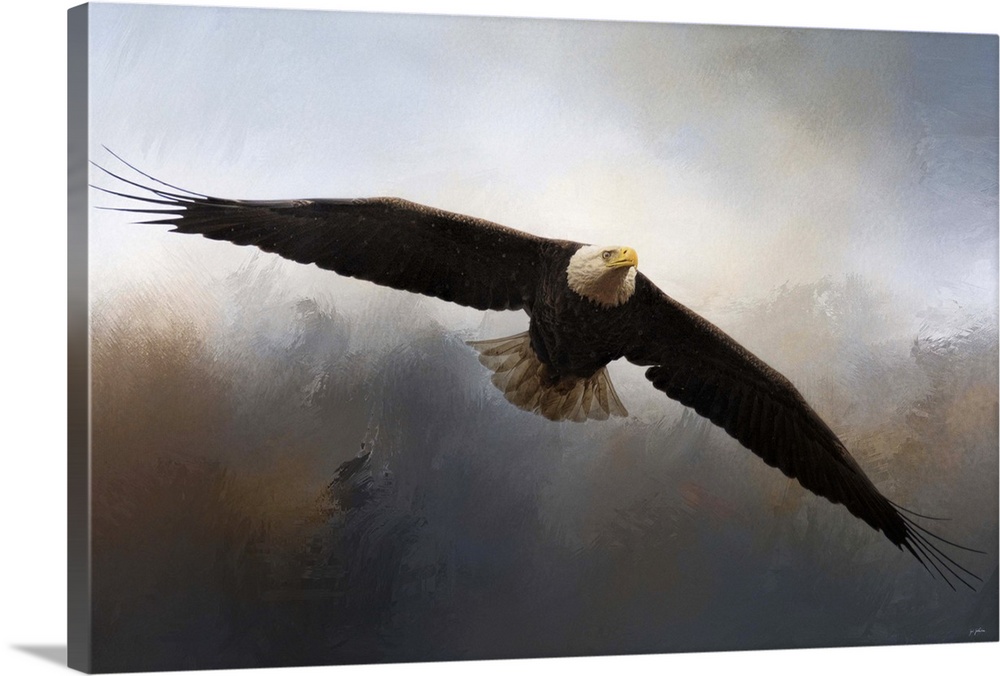 A bald eagle flies through the dark clouds.