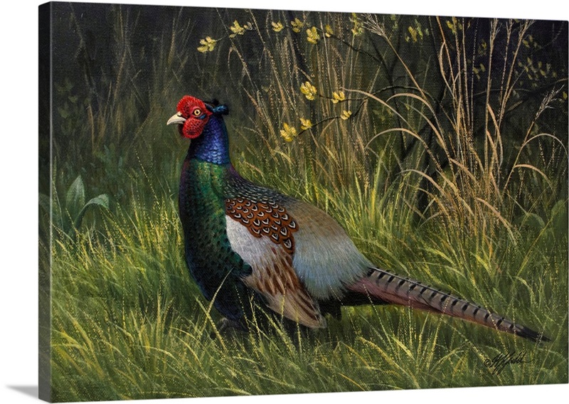 Japanese Green Pheasant | Great Big Canvas