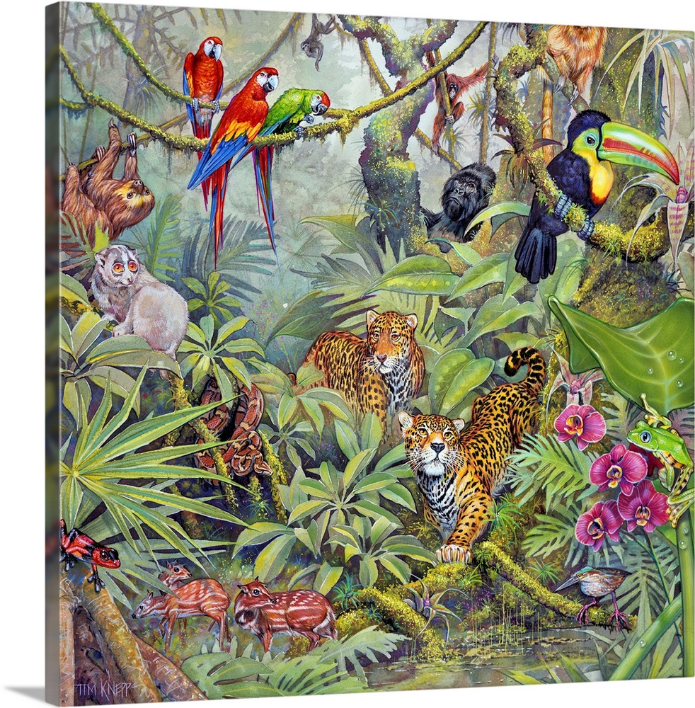 Jungle scene with parrots, a toucan, leopards, and other jungle animals