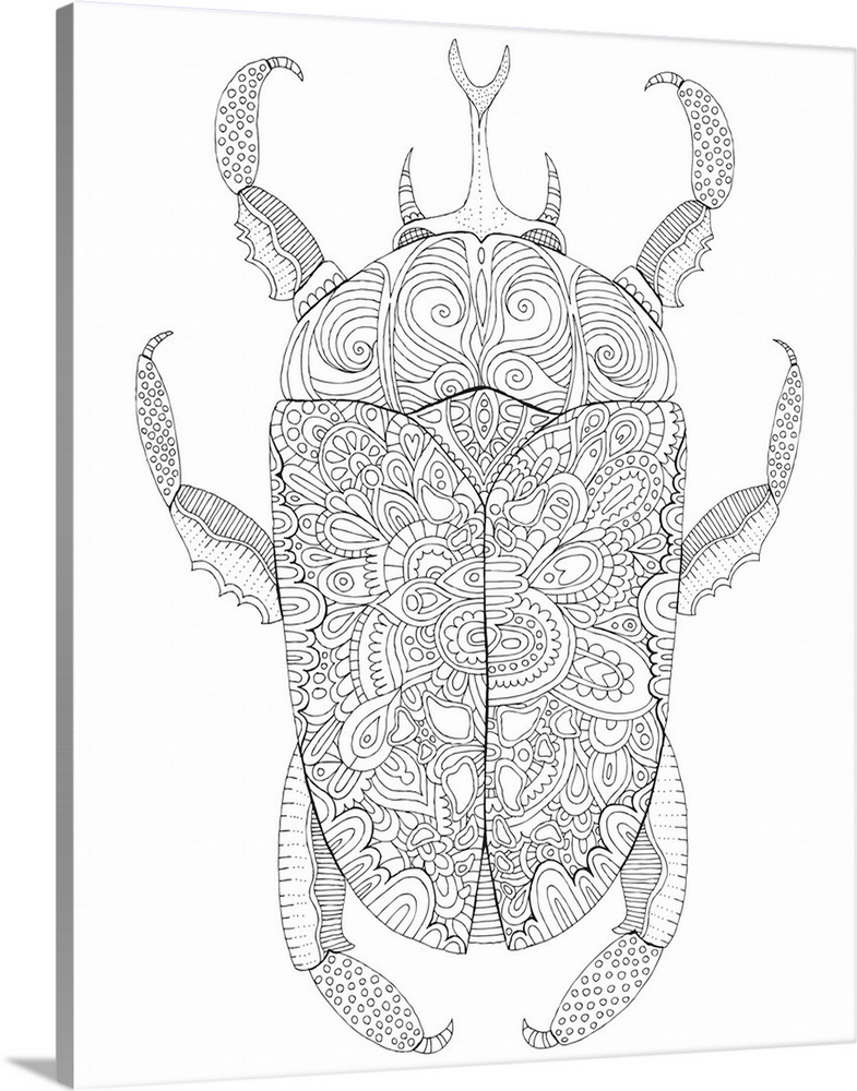 Black and white line art of an intricately designed beetle.