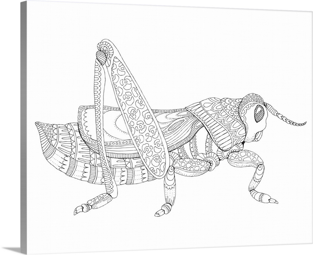 Black and white line art of an intricately designed grasshopper.